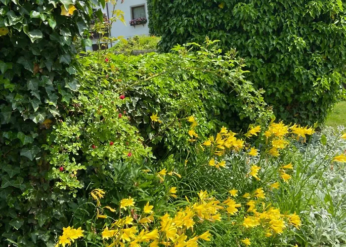 Шале Greti Эрвальд