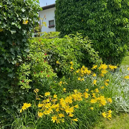 Chalet Greti Ehrwald